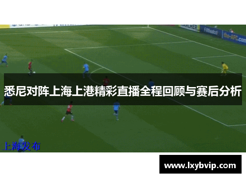 悉尼对阵上海上港精彩直播全程回顾与赛后分析